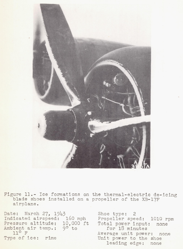 Figure 11. Ice formations on the thermal-electric de-lcing
blade shoes installed on a propeller of the XB-17F airplane.
Ice up to 1 inch thick is on the propeller leading edges. 
Date: March 27, 1943
Indicated airspeed: 160 mph
Pressure altitude: 10,000 ft
Ambient air temp.: 9 to 11 F
Type of ice: rime
Shoe type: 2
Propeller speed: 1010 rpm
rotal power input: none for 18 minutes
Average unit power: none
Unit power to the shoe leading edge: none

